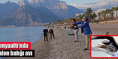 Konyaaltı’nda balon balığı avı