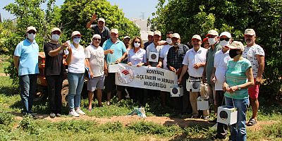 Konyaaltı'nda Entegre Mücadele Projesi hayata geçiyor