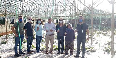 Konyaaltı'nda Entegre Mücadelesi Projesi örtüaltı uygulamaları başladı