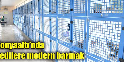 Konyaaltı’nda kedilere modern barınak