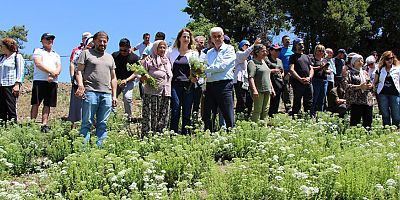 Konyaaltı'nda kekik yetiştiriciliği tarla günü yapıldı