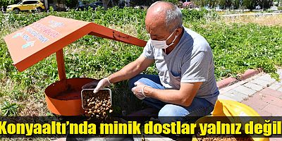 Konyaaltı’nda minik dostlar yalnız değil 