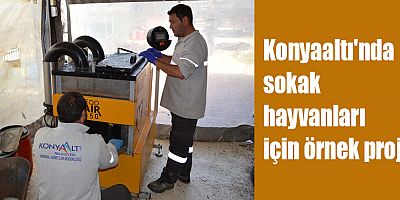 Konyaaltı'nda sokak hayvanları için örnek proje