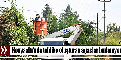 Konyaaltı'nda tehlike oluşturan ağaçlar budanıyor