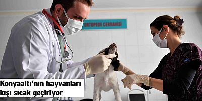 Konyaaltı’nın hayvanları kışı sıcak geçiriyor