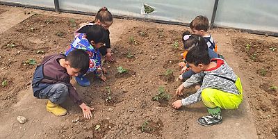 Konyaaltı'nın minikleri tohumları toprakla buluşturuyor