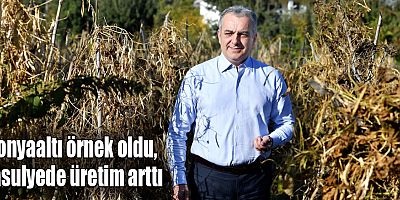 Konyaaltı örnek oldu, fasulyede üretim arttı