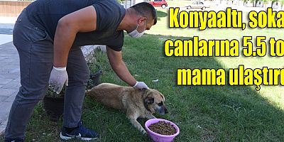 Konyaaltı, sokak canlarına 5.5 ton mama ulaştırdı
