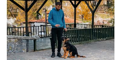 Köpeğinizi Anlamak İster Misiniz?