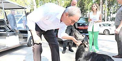 ‘Köpek yakıldı’ iddialarına Başkan Kocagöz son noktayı koydu: İddialar asılsız, görüntüler yanıltıcı