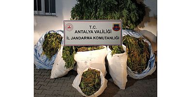 Korkuteli'de kenevir operasyonu