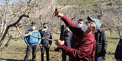 Korkuteli’de uygulamalı budama eğitimi verildi