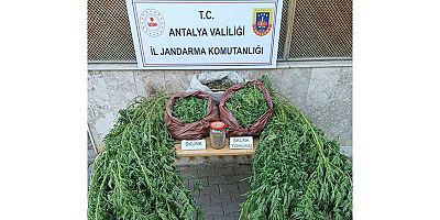  Korkuteli İlçesinde Uyuşturucu Operasyonu