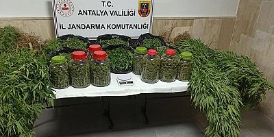 Korkuteli İlçesinde Uyuşturucu Operasyonu