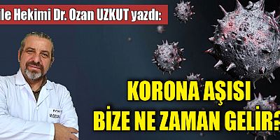 KORONA AŞISI BİZE NE ZAMAN GELİR?