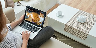 Koronavirüs günlerinin online alışveriş istatistikleri açıklandı