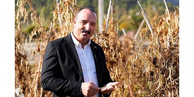 Kotan işçilerle fasulye hasadı yaptı