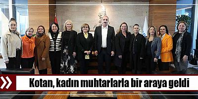 Kotan