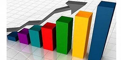 Küçük ve Orta Büyüklükteki Girişim İstatistikleri açıklandı