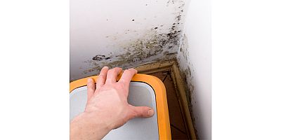 Küf Mantarında Gıda Alerjisi Riski