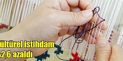 Kültürel istihdam yüzde 2,6 azaldı