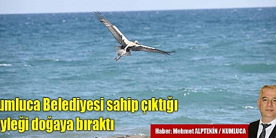 Kumluca Belediyesi sahip çıktığı leyleği doğaya bıraktı