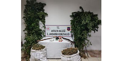 Kumluca'da 23 kök hint keneviri ve 10 kilo kubar esrar ele geçirildi