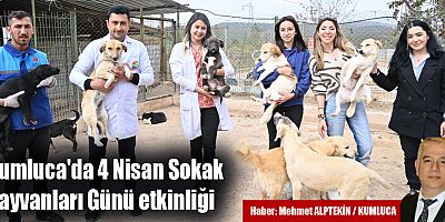 Kumluca'da 4 Nisan Sokak Hayvanları Günü etkinliği