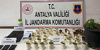 Kumluca'da 45 kök hint keneviri ve 92 adet boş makaron ele geçirildi