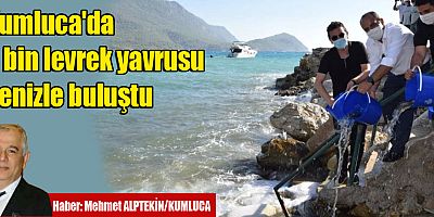 Kumluca'da 5 bin levrek yavrusu denizle buluştu