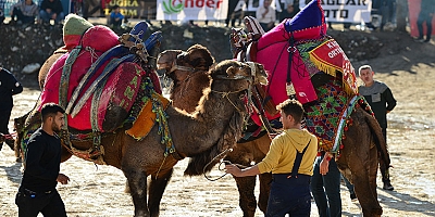Kumluca’da Geleneksel Deve Gösterisi Heyecanı Yaşanacak