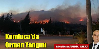 Kumluca'da Orman Yangını