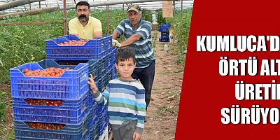 Kumluca'da örtü altı üretim sürüyor