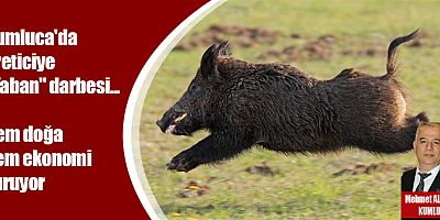 Kumluca'da üreticiye 