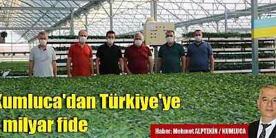 Kumluca'dan Türkiye'ye 1 milyar fide