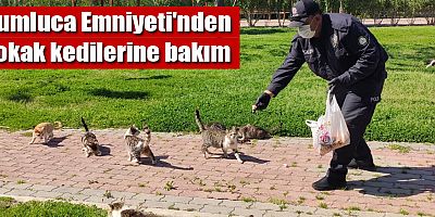 Kumluca Emniyeti'nden sokak kedilerine bakım