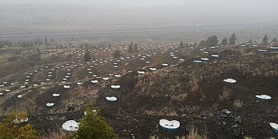Kurak alanlar yeşile kavuşuyor