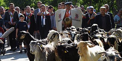 Kurban indirme geleneği bu yıl da yaşatıldı