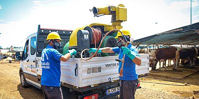 Kurban satış ve kesim noktaları ilaçlanıyor