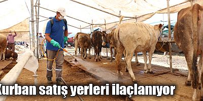 Kurban satış yerleri ilaçlanıyor