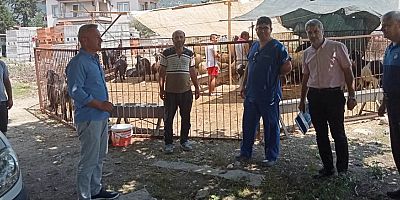Kurban satış yerlerinde denetim