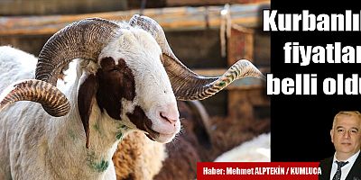 Kurbanlık fiyatları açıklandı