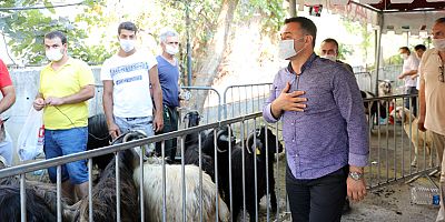Kurbanlık satış ve kesim yerleri belli oldu