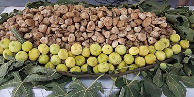 Kuru incirin ihracat yolculuğu 7 Ekim’de başlıyor