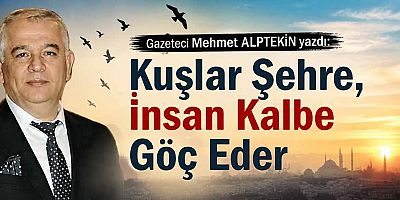 Kuşlar Şehre, İnsan Kalbe Göç Eder