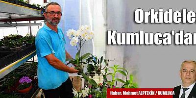 Laboratuvarda doku kültürüyle orkide üretiyor