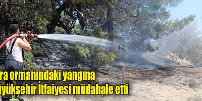 Lara ormanındaki yangına Büyükşehir İtfaiyesi müdahale etti