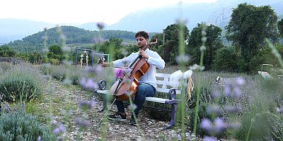 Lavanta bahçesinde çello resitali