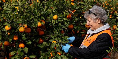 “LÖSEV Doğal Satsuma Mandalinaları” sağlıklı beslenmede sembol haline geldi