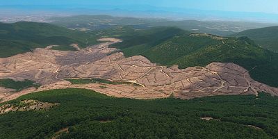 Madde 6’ya Hayır!